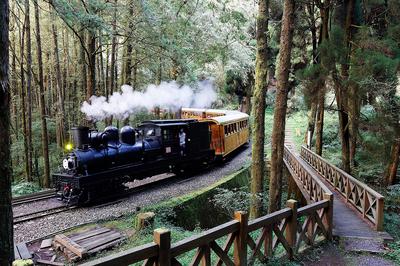 Destination - Forest Railway