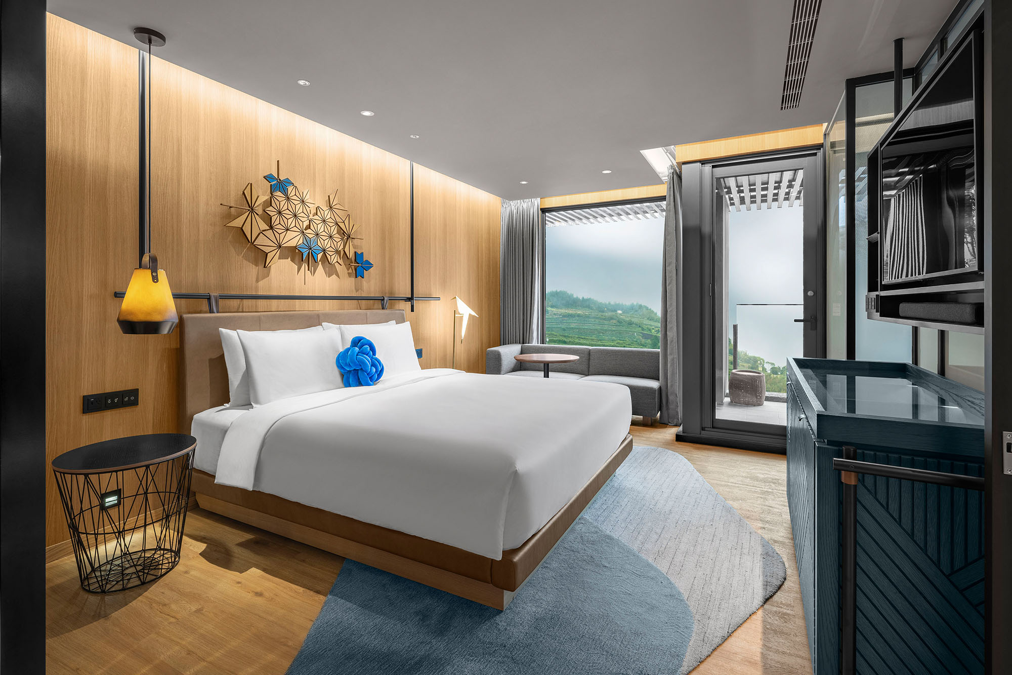 1 King Standard Mountain View