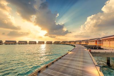 Jetty