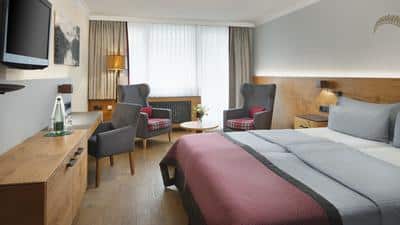 Deluxe Room, 1 King, Mountain View