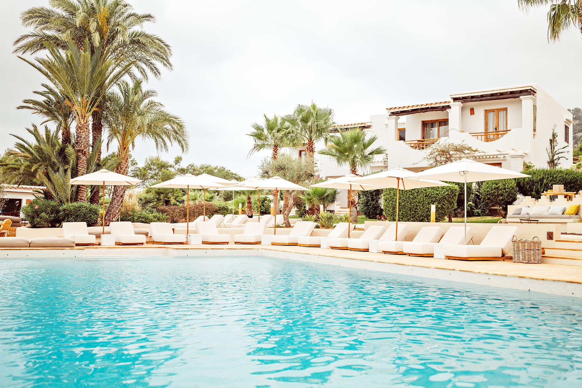 Petunia Ibiza