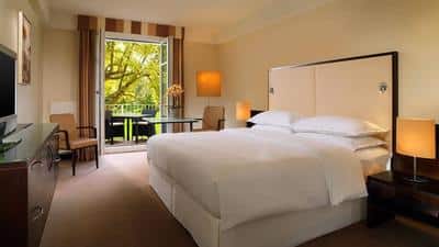 Terrace Room, 1 King
