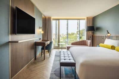 Deluxe King Garden View Room