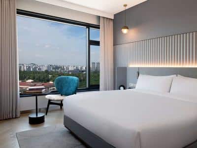 Mondrian Suite