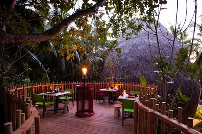 Nest Restaurant