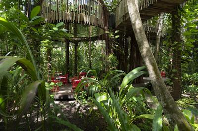 Nest Restaurant