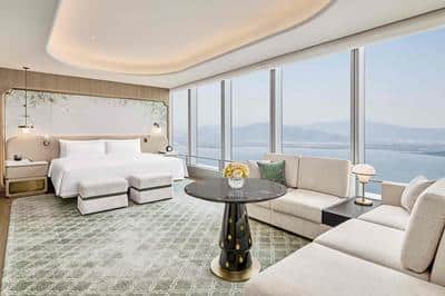 Premier Specialty Suite