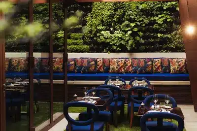 Frida Restaurant