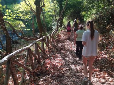 Hiking