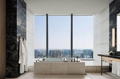 Presidential One Bedroom Suite