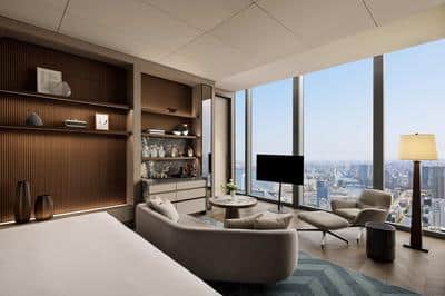 Presidential One Bedroom Suite