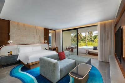 Premier Deluxe Room, 1 King, Private Pool