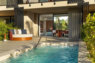 Premier Deluxe Room, 1 King, Private Pool