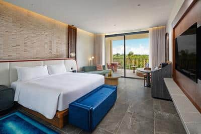 Premier Room, 1 King, Tropical view