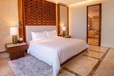 Butler Service Master 2 Bedroom Presidential Suite