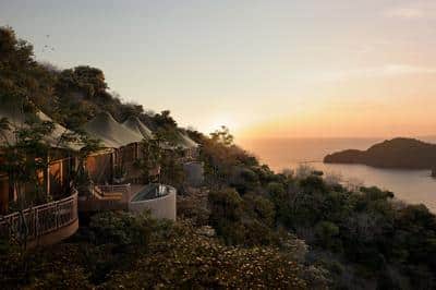 Treetop Tent