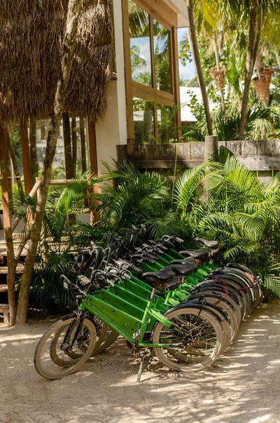 Bike Rental