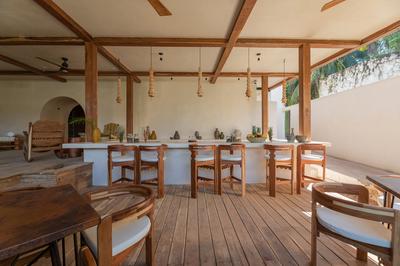 Jungle Dining