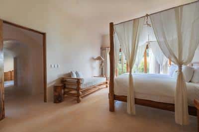 Jungle Suite Lower - Jungle side
