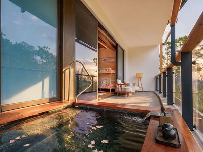 Deluxe Room, Private Heated Pool, Expo Park View
