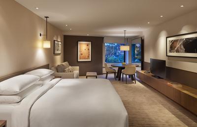 Hyatt Room