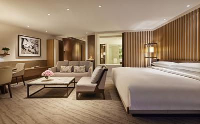Hyatt Premium Room - Opera View