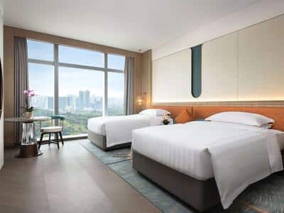 Premium Deluxe Room City View - Twin