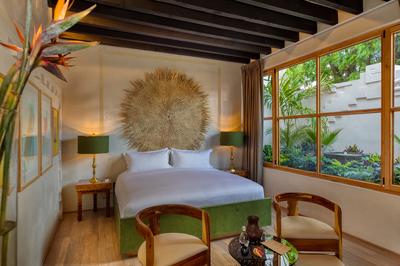 Aura Suite