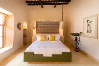 Alma Suite