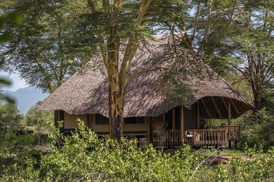 Luxury Tented Suite