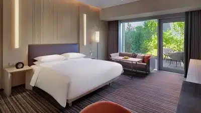 1 King Bed with Terrace