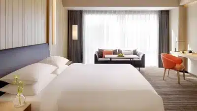 1 King Bed