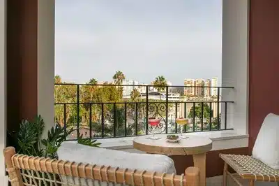 Premium Terrace