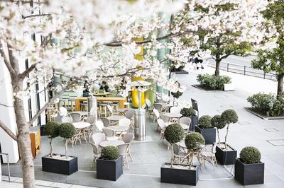 BeBu Café & Bar