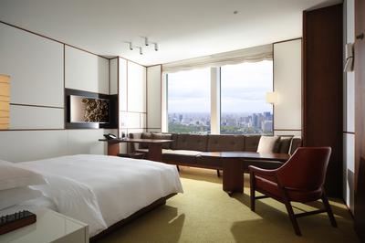 1 King Bed with Park View