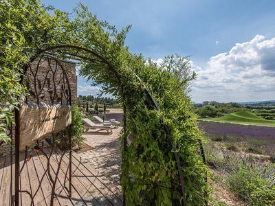 Lavender Suite Nature