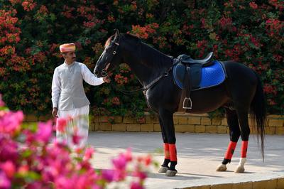 Horse Riding