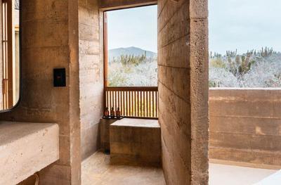 Cacti Sky Suite