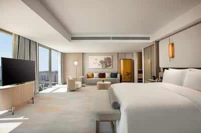 1 King Junior Suite