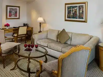 1 King Junior Suite City View