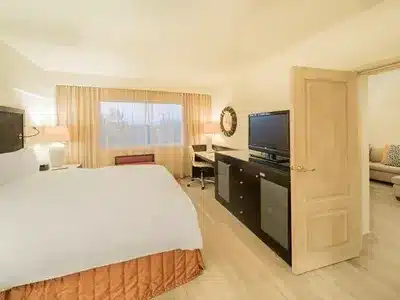 1 King Junior Suite