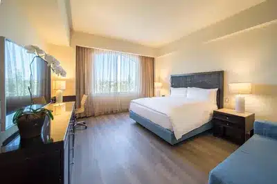 Suite 1