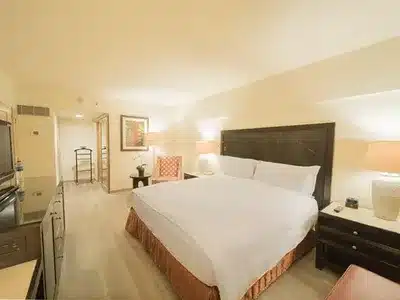 1 King Junior Suite