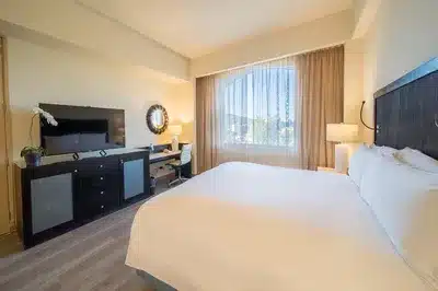 Suite 1