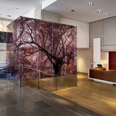 Park Hyatt Washington image
