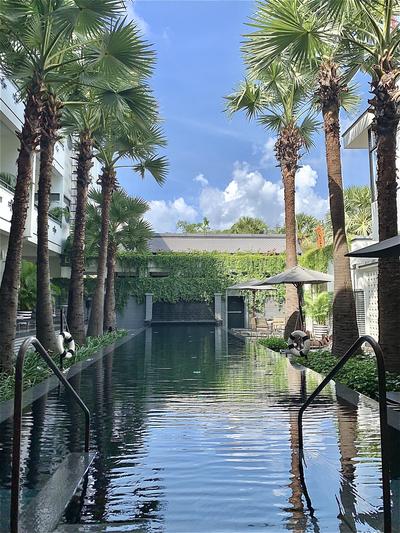 Lap Pool Day