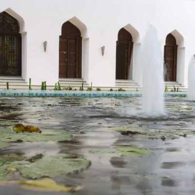 Park Hyatt Zanzibar image