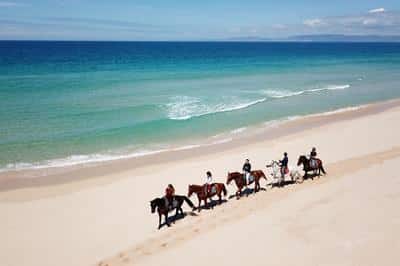 Horse Riding