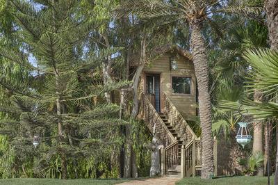 Treehouse Suite