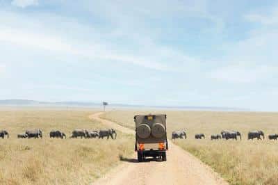 Game Drive